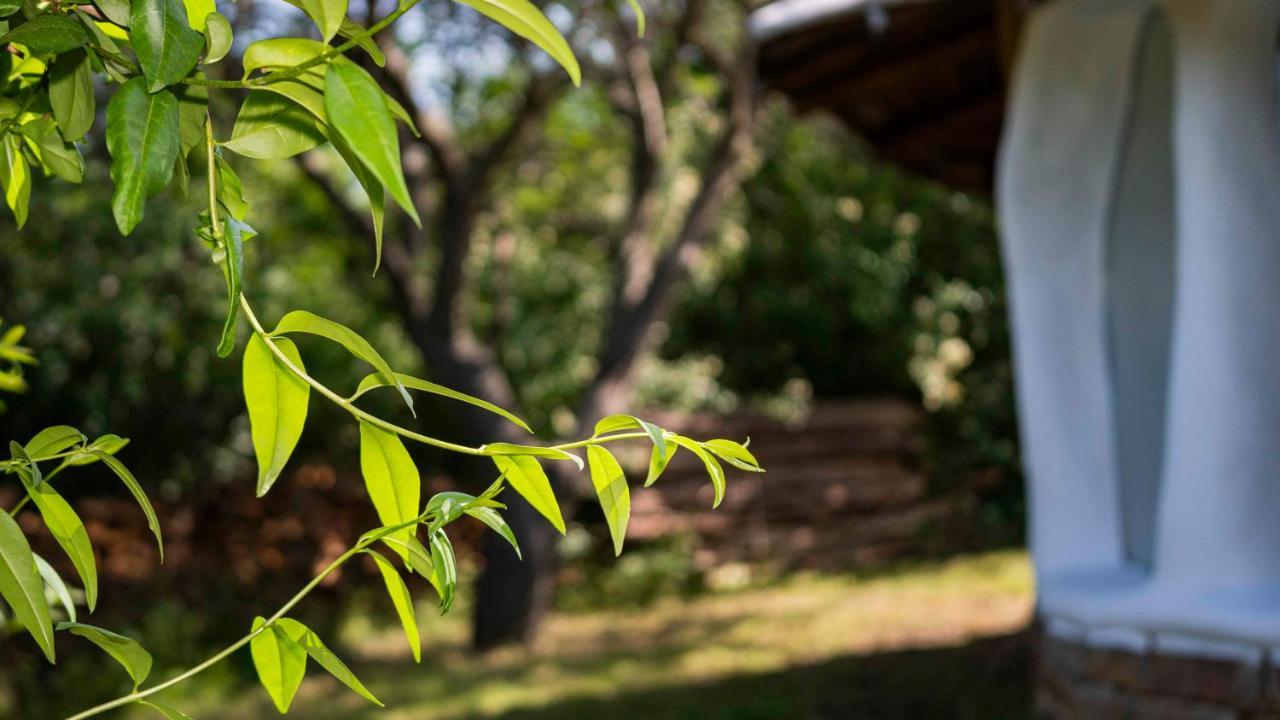Clay House Banya Banya (Burgas) Exterior foto